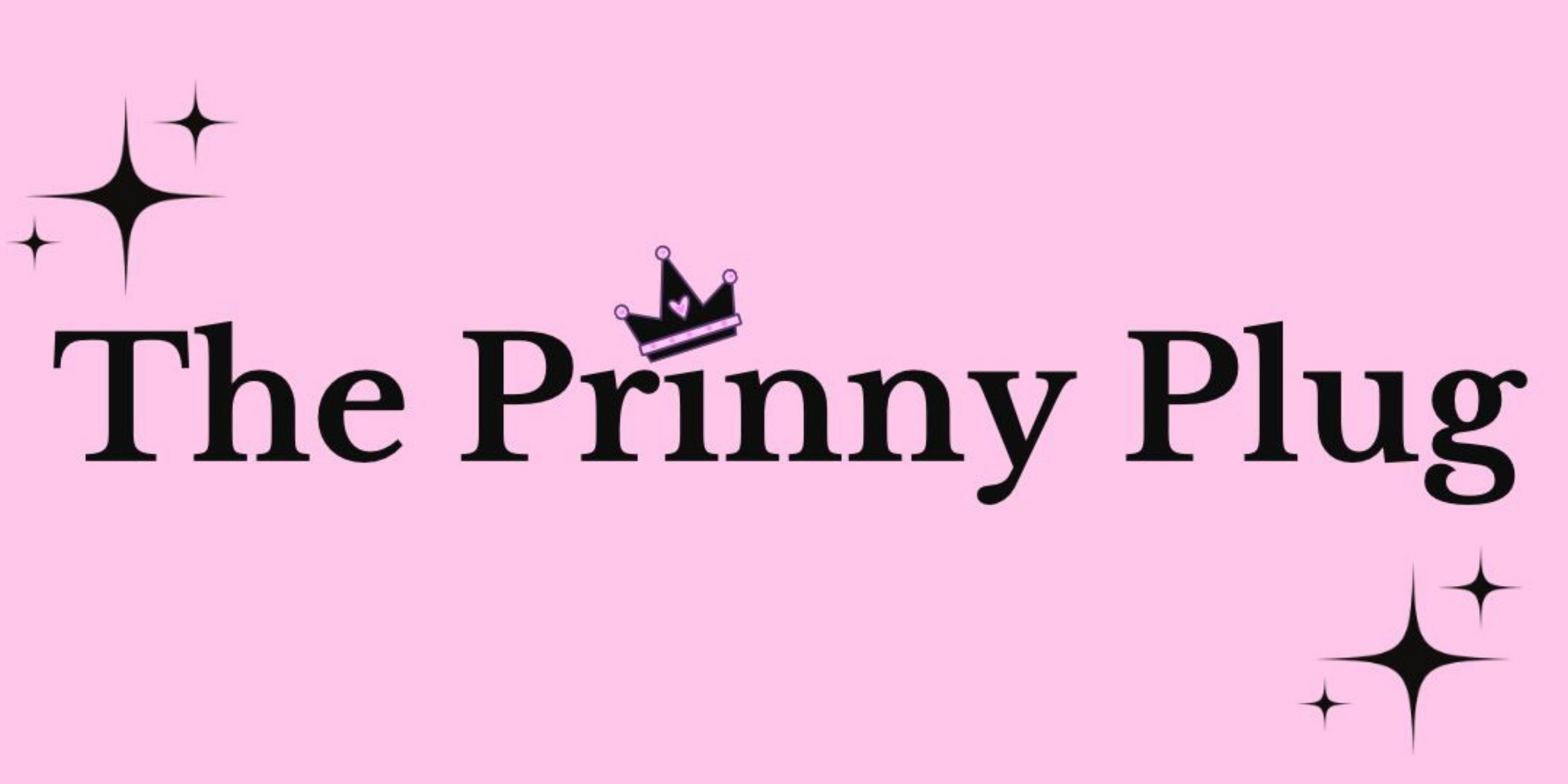 The Prinny Plug